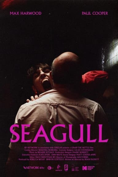 Seagull