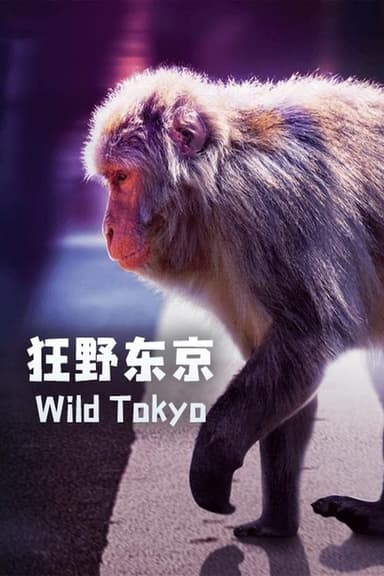 Wild Tokyo