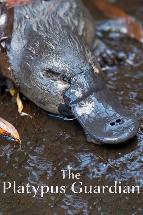 The Platypus Guardian