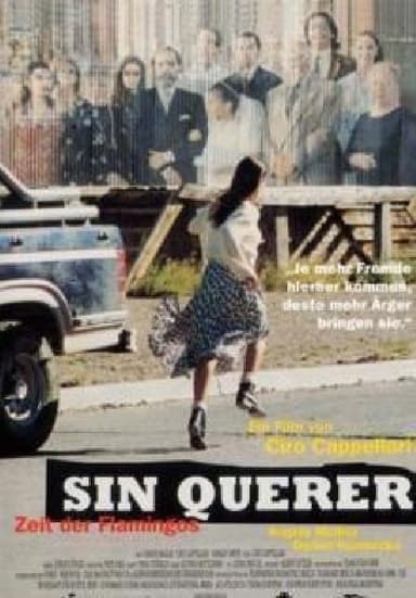 Sin querer